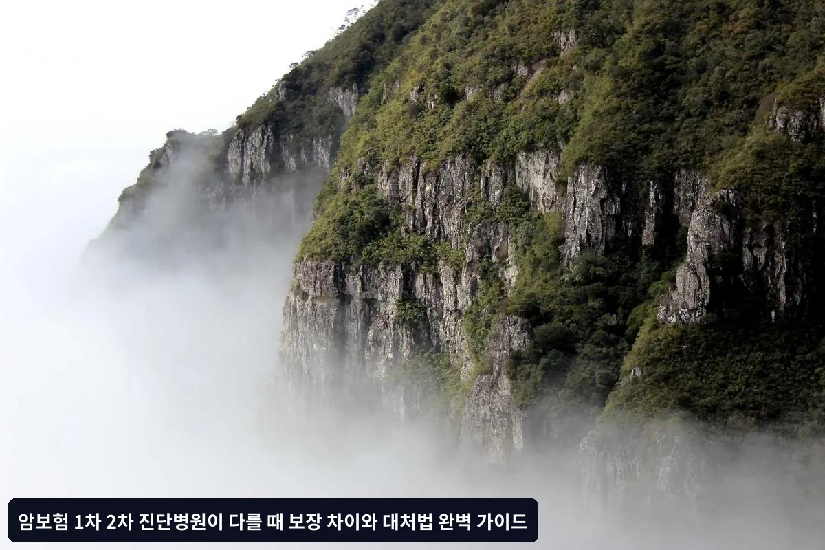 1차와 2차 진단병원이 다를 때 필요한 서류