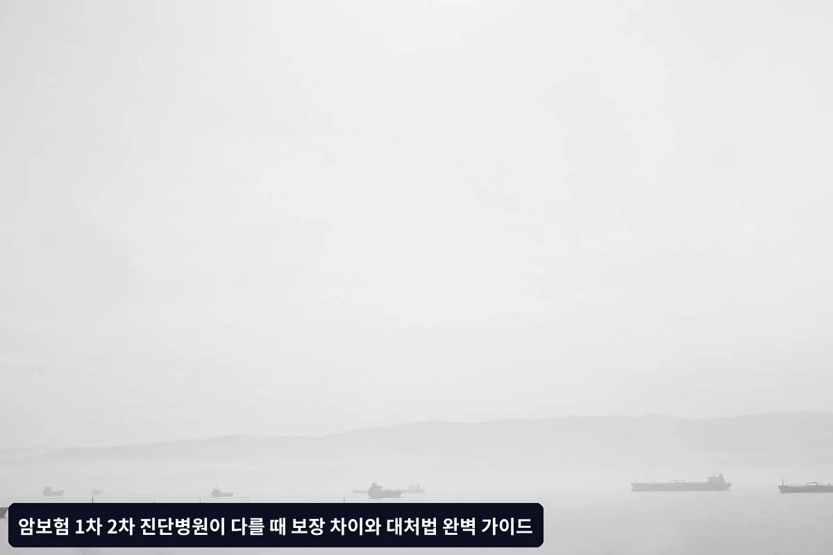 실제 보험금 청구 시 주의사항