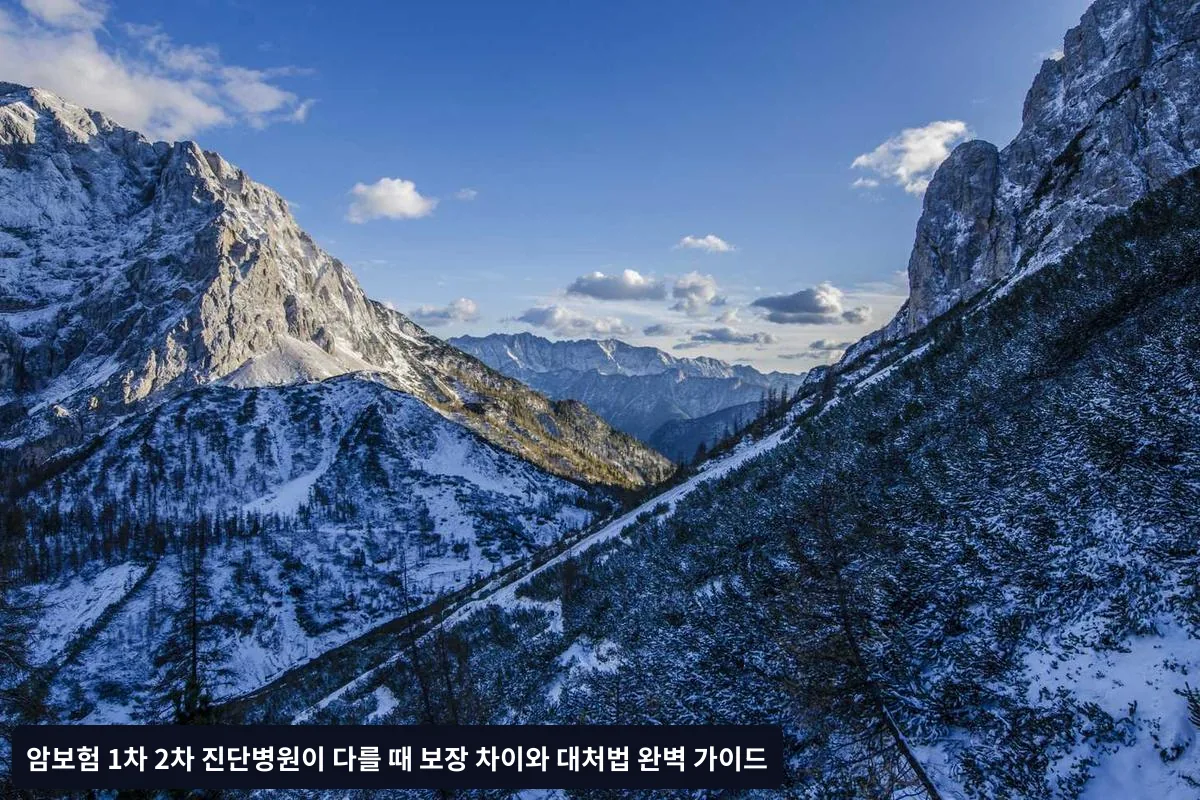 병원별 진단서 발급 시 팁