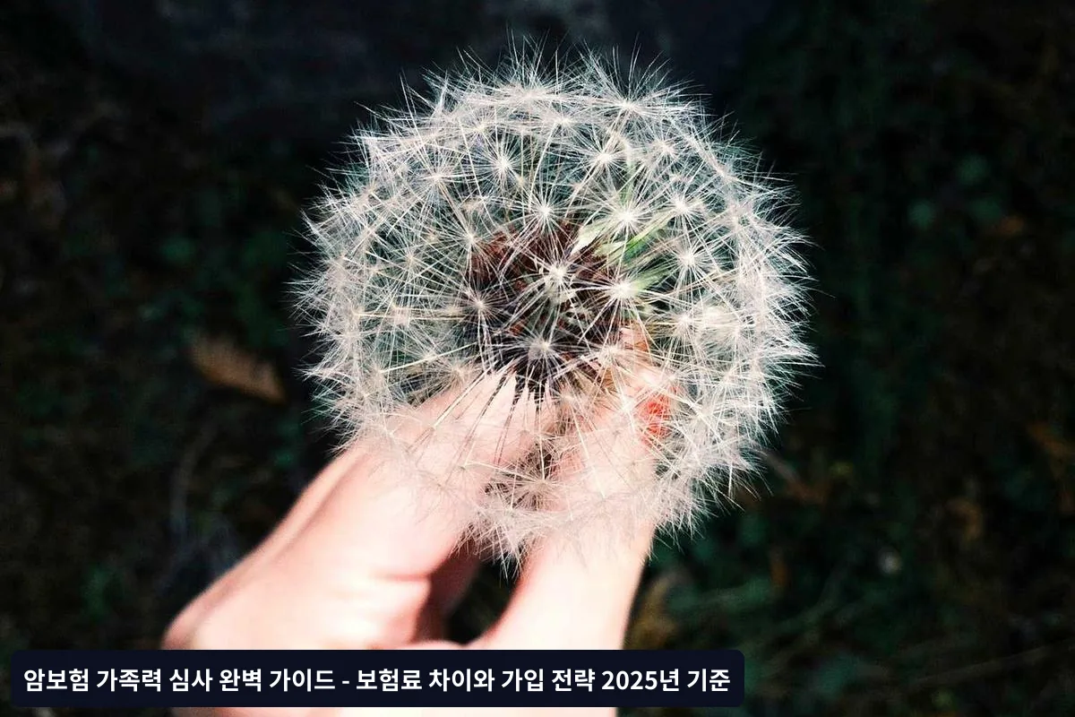 가족력 심사에서 자주 하는 실수와 대처법
