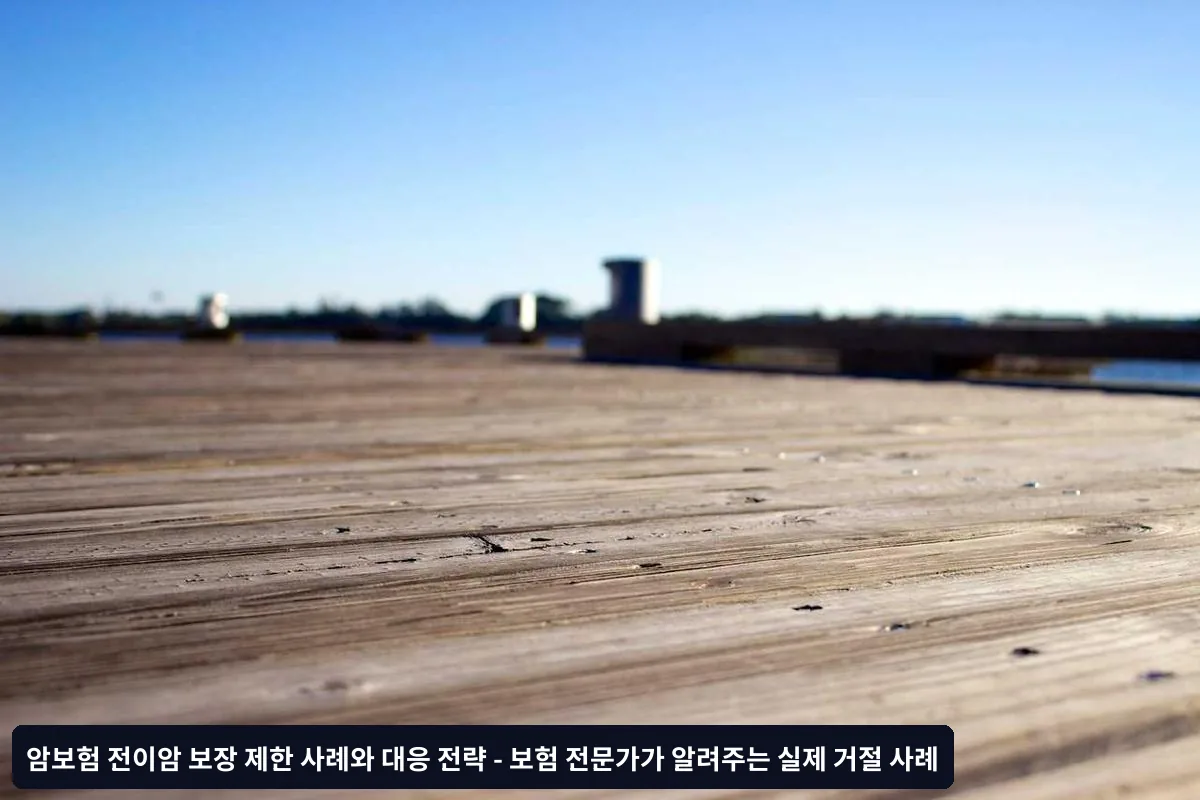 전이암 보장 거절 시 대응 전략