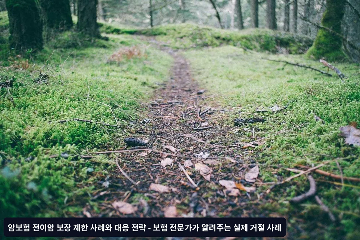 전문가 체크리스트