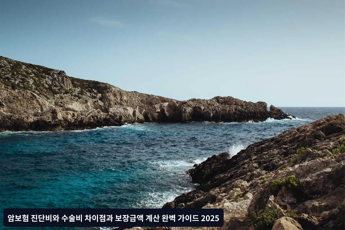 수술비 계산의 핵심 요소들