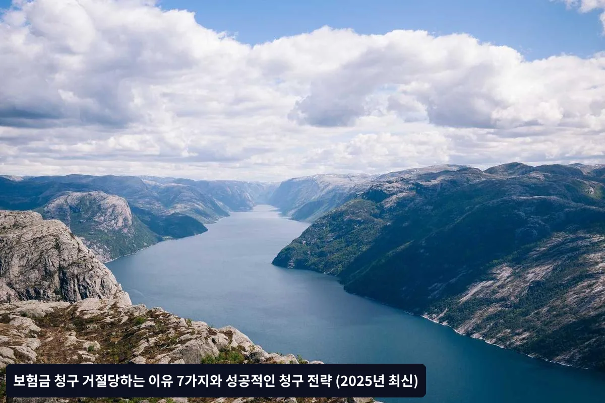 5단계: 결과 검토 및 이의제기