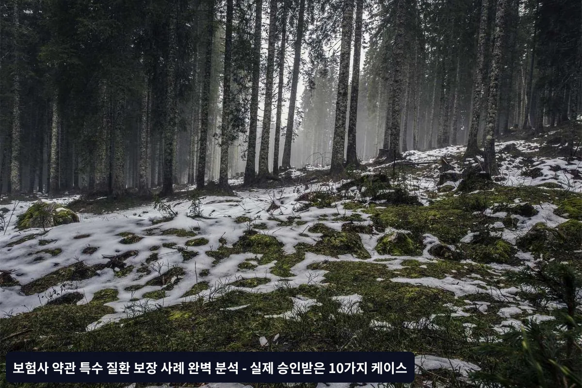 3단계: 정확한 고지 전략