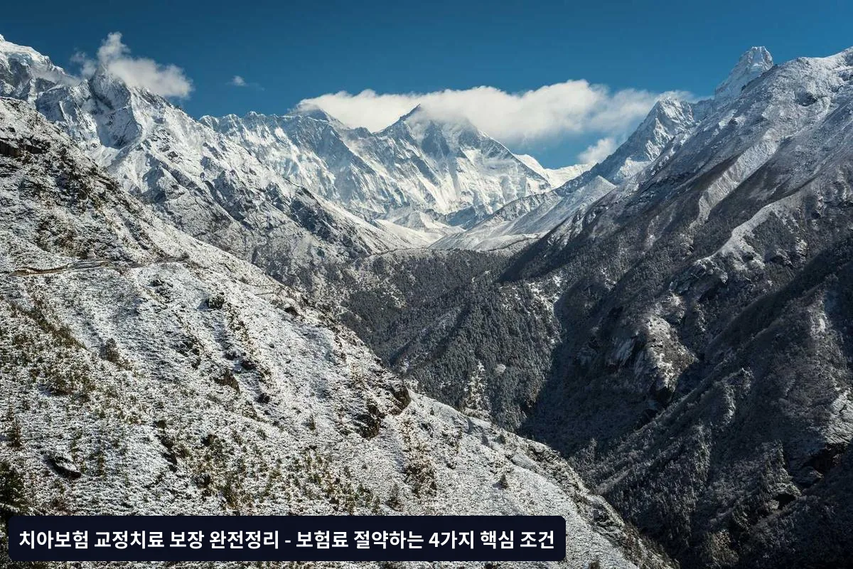 4. 보험사별 약관 차이점 확인
