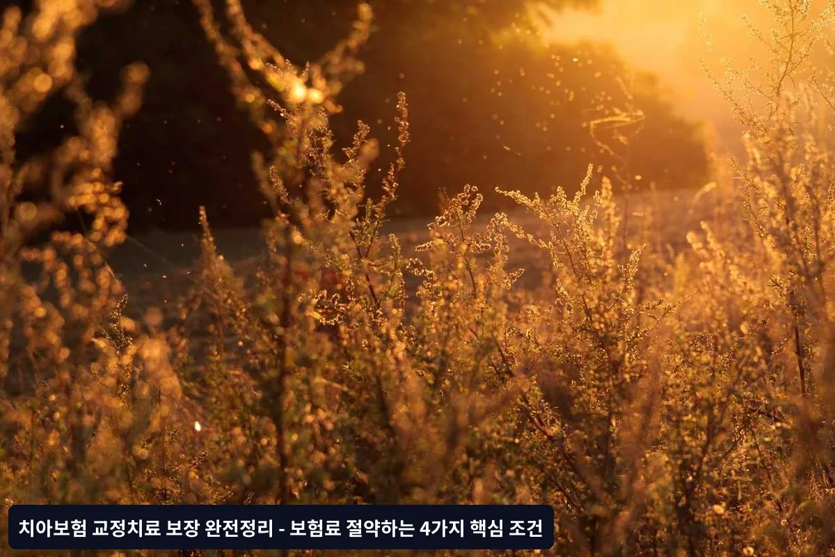 성인 교정보험의 제약사항