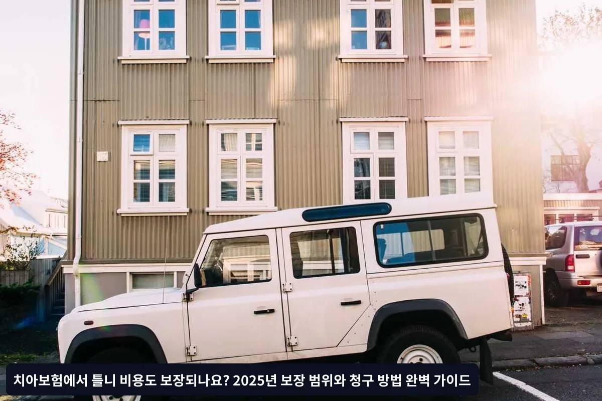 비급여 틀니 (전액 본인부담)