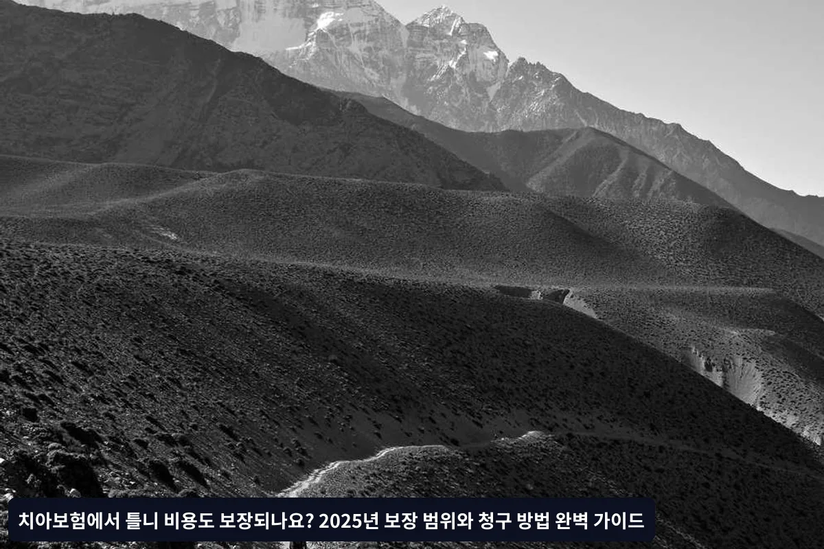 단계별 청구 프로세스