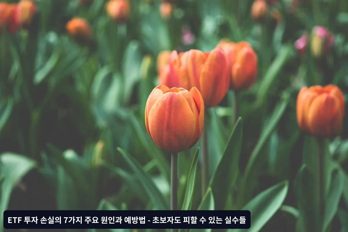 7. 정보 부족과 잘못된 정보 의존