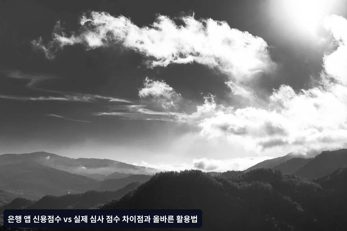 대출 신청 전 3개월 관리 전략