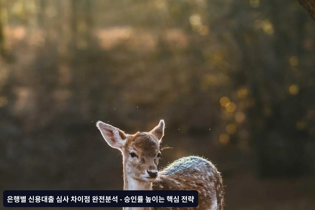 1-2등급 (우량 고객)