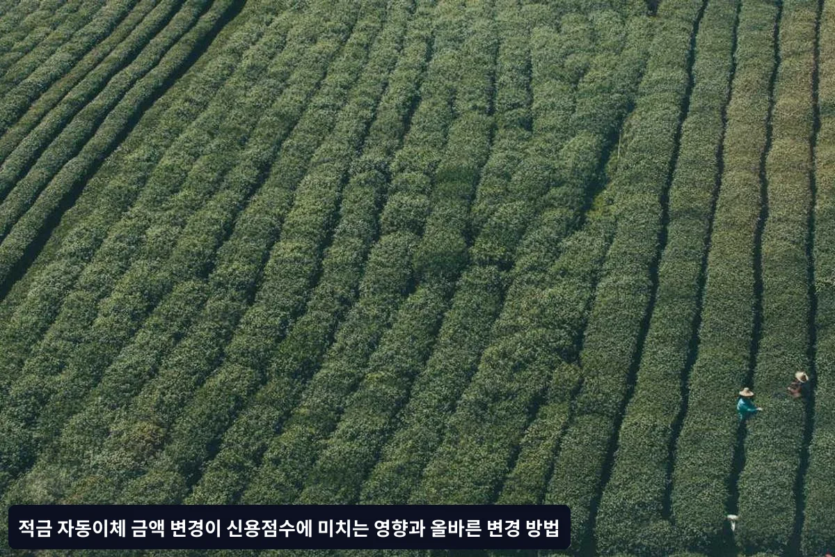 은행별 적금 자동이체 변경 정책