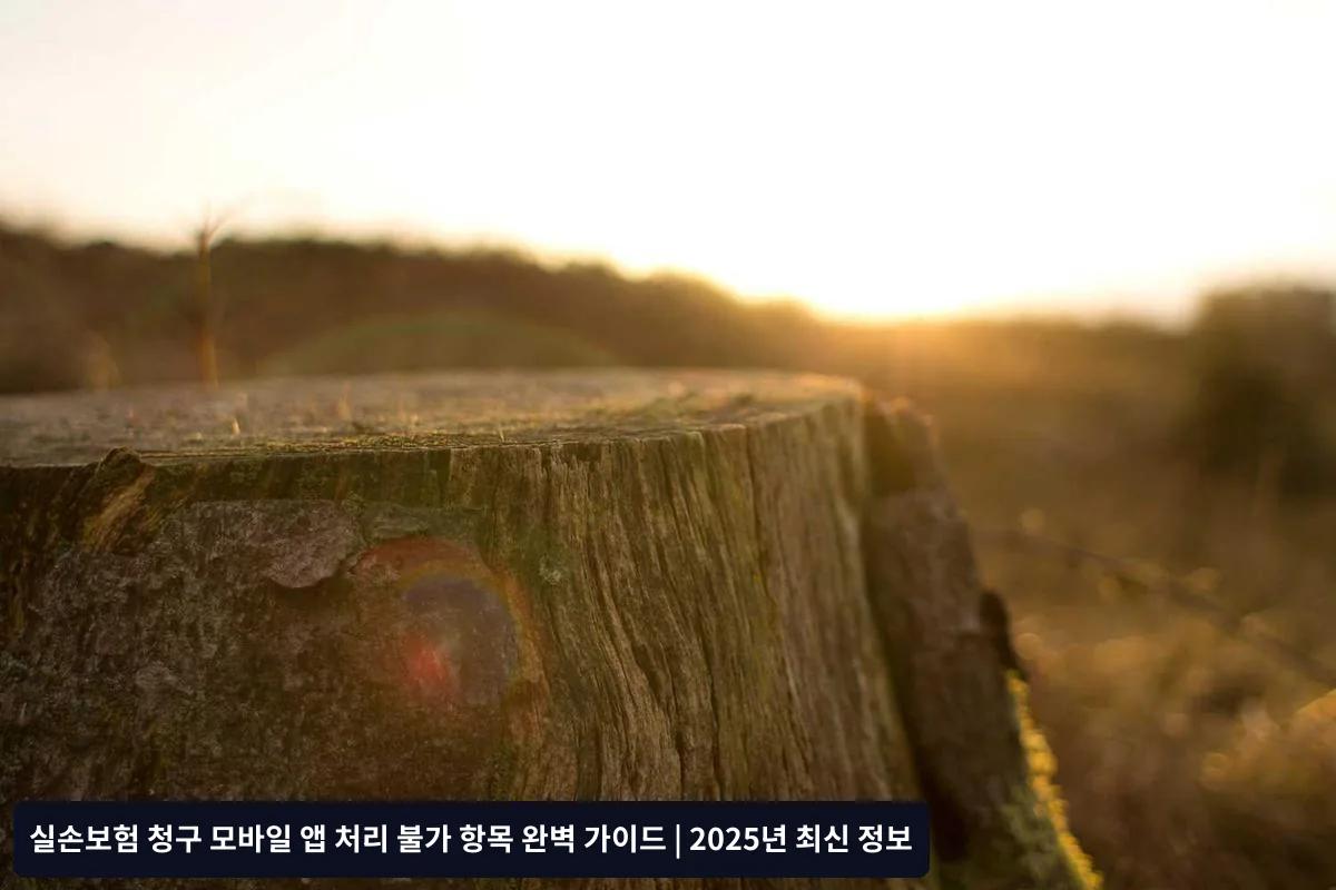 앱 처리 불가 시 준비할 서류