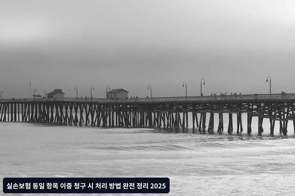 보험사는 이중 청구를 어떻게 확인할까?