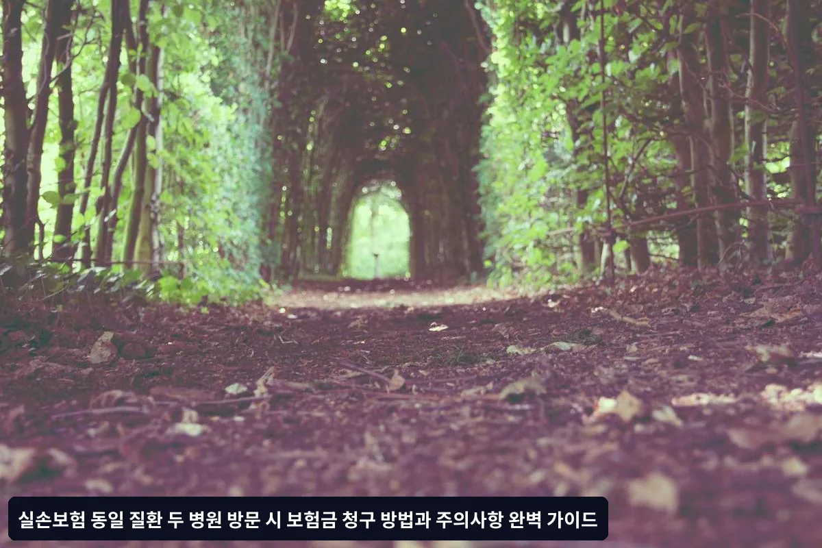 보험사별 심사 기준과 실제 사례