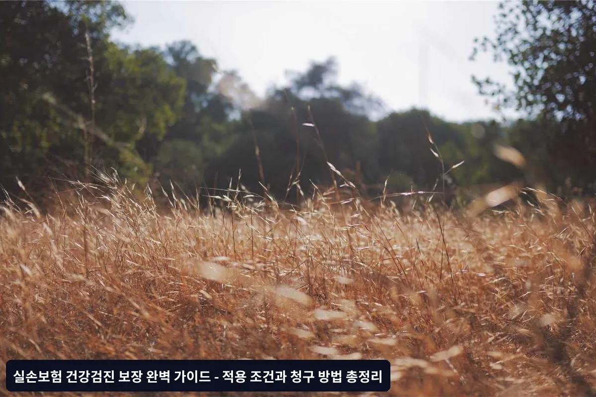 보험회사별 심사 기준과 차이점