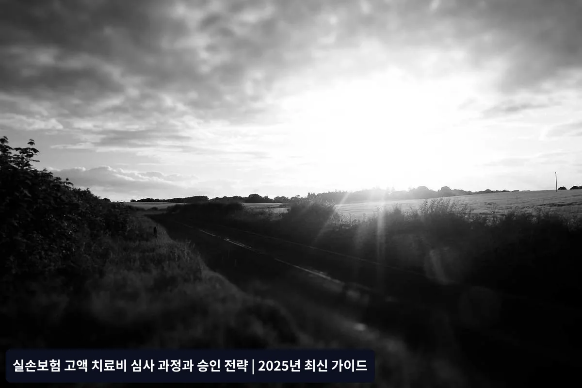 고액 치료비 승인받기 위한 핵심 전략
