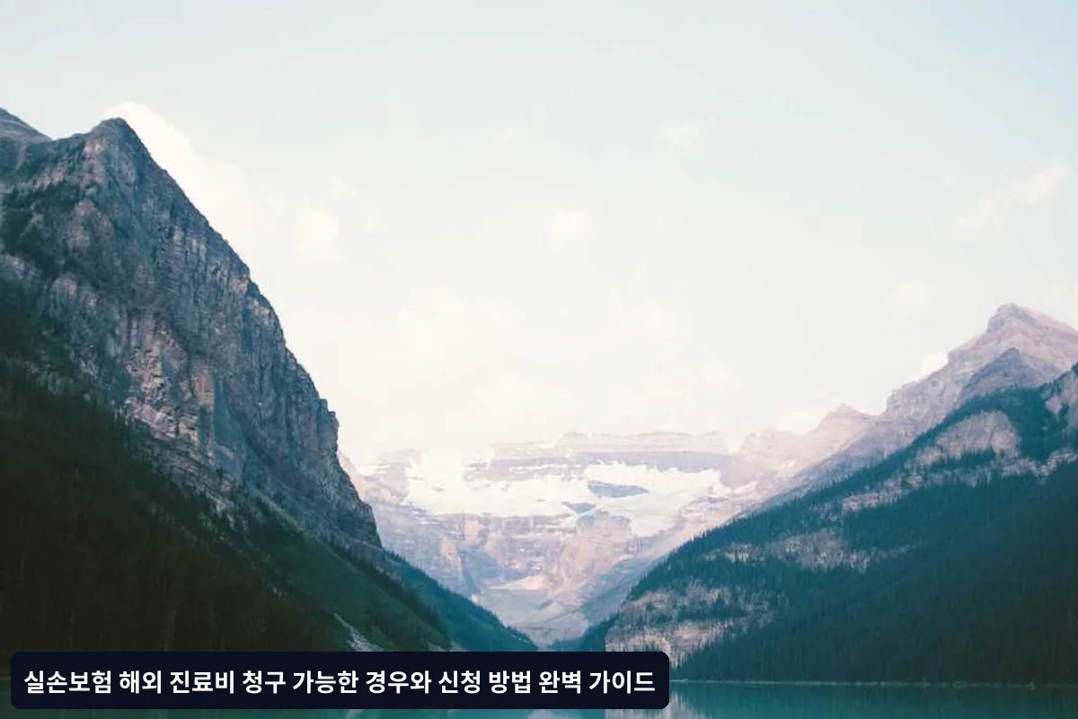 본인부담금 적용