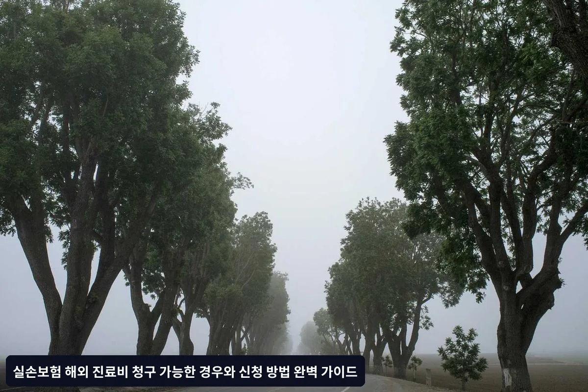 Q2. 기존에 앓던 병이 해외에서 악화되어 치료받은 경우는?