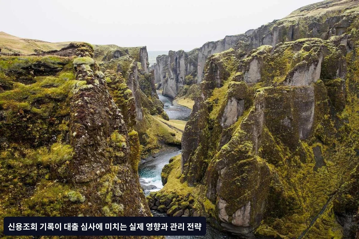 신용조회가 대출 심사에서 불리하게 작용하는 구체적 상황