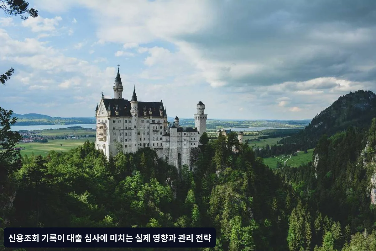 조회 기록 최소화하는 실용적 방법