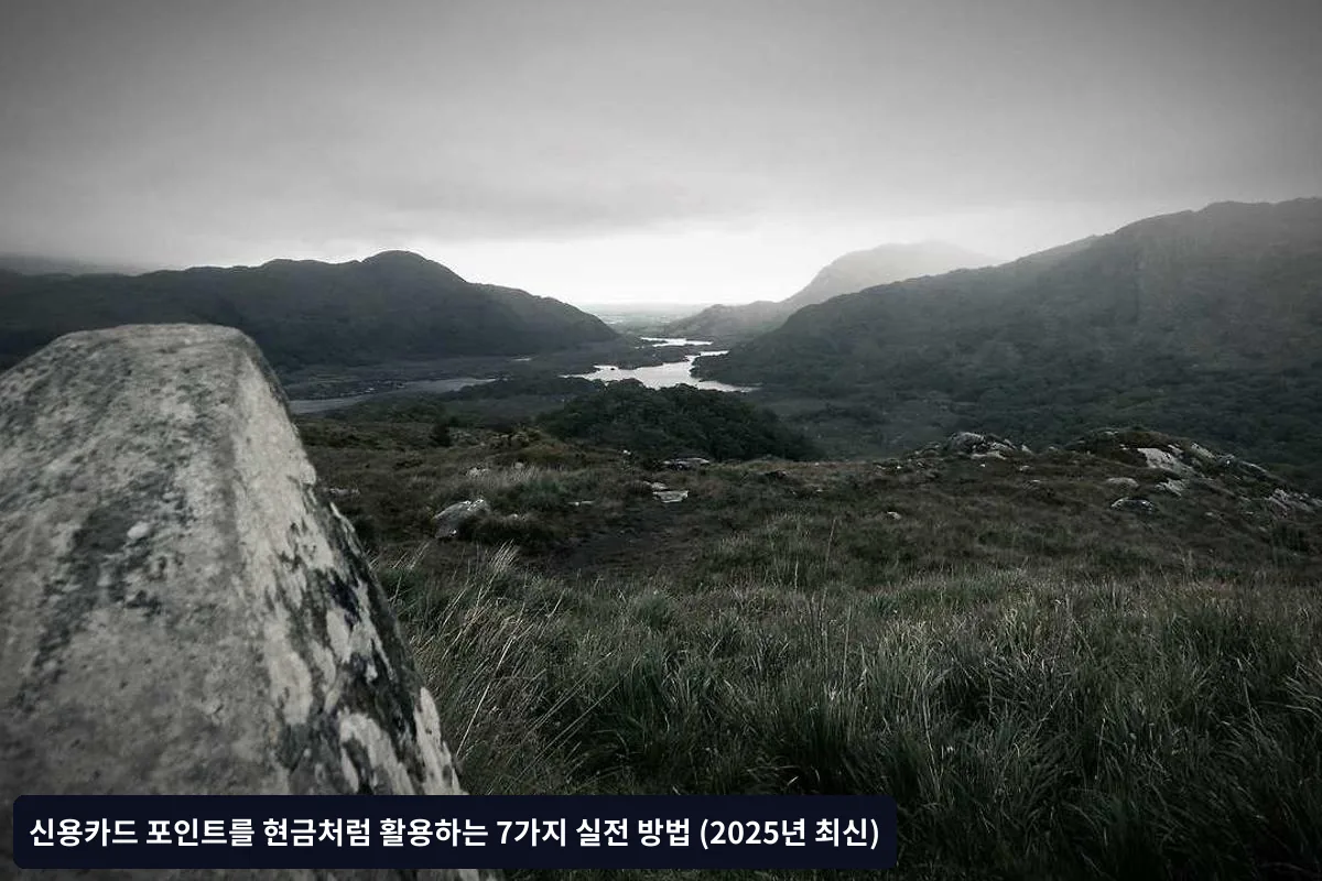6. 배달앱 결제에 포인트 활용