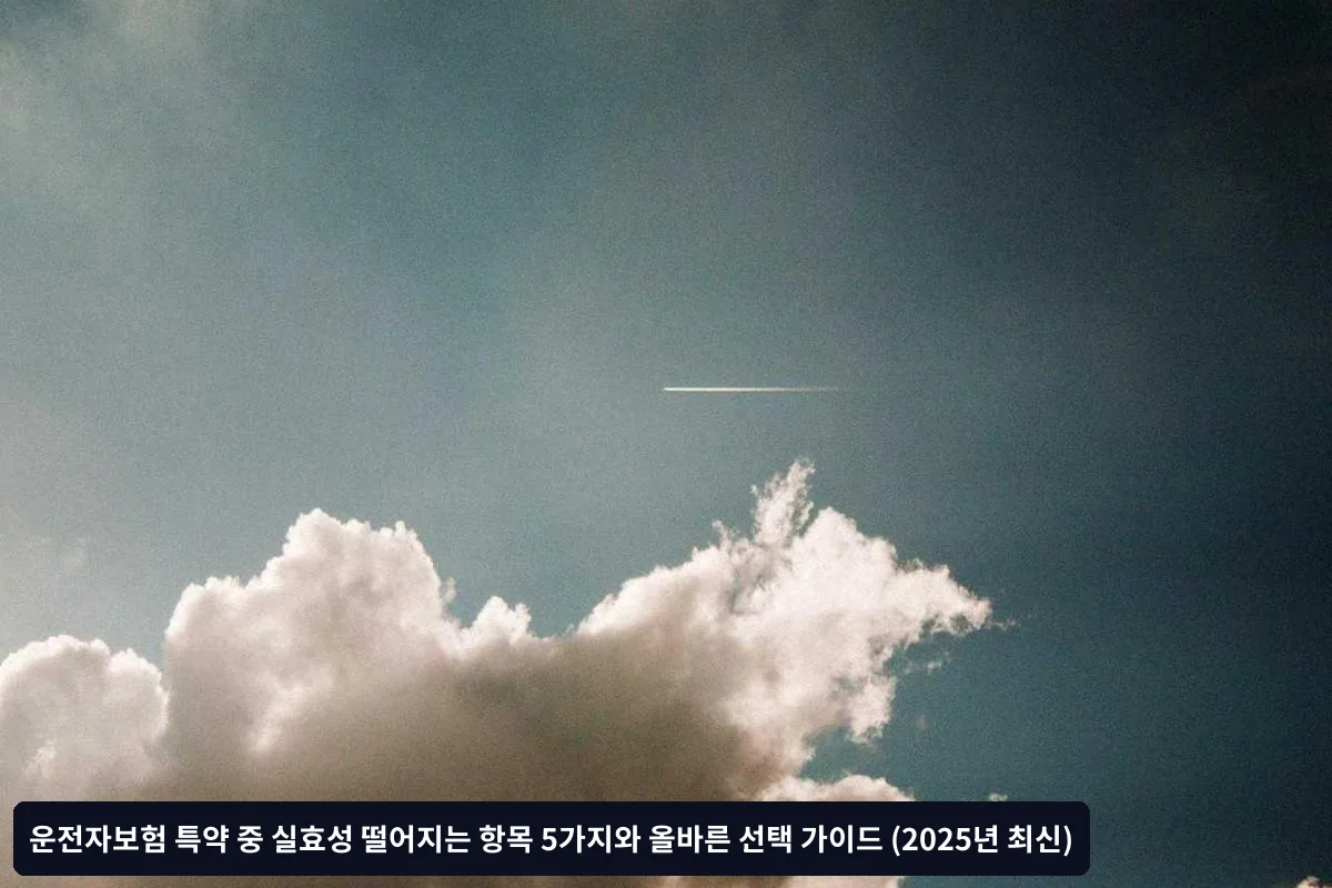 5. 블랙박스 할인 특약 - 할인 효과 미미