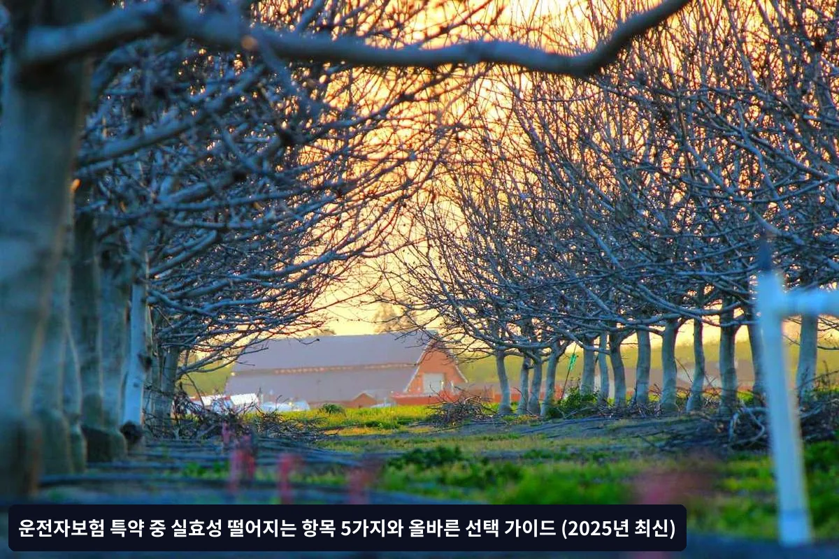 3. 연령별 할인 혜택 활용