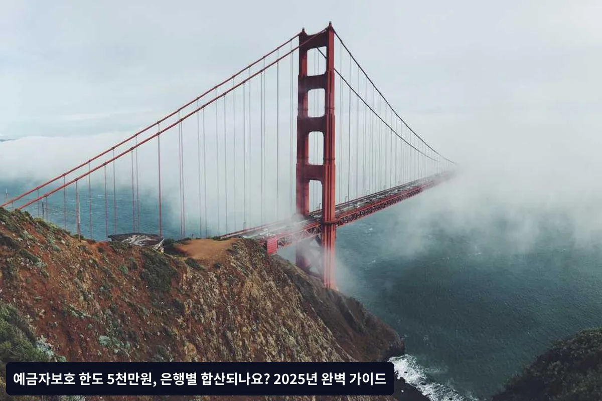 사례 2: 다른 은행 분산 예치