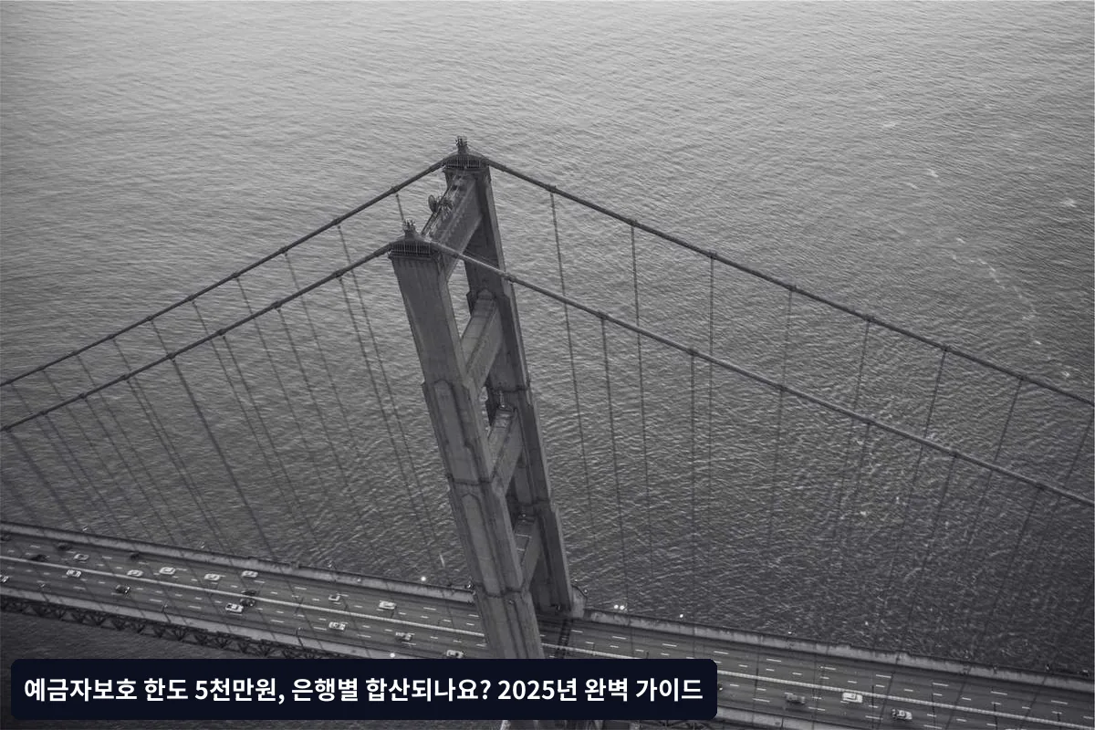 2025년 변경사항과 향후 전망