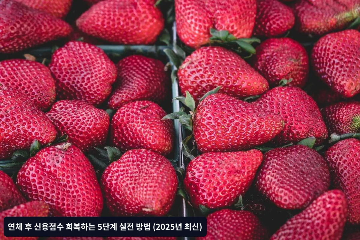 1단계: 연체 상황 완전히 정리하기