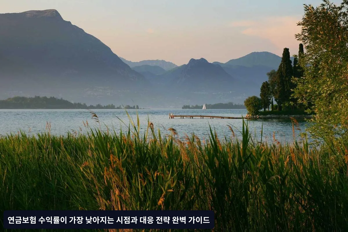 금리 환경에 따른 영향