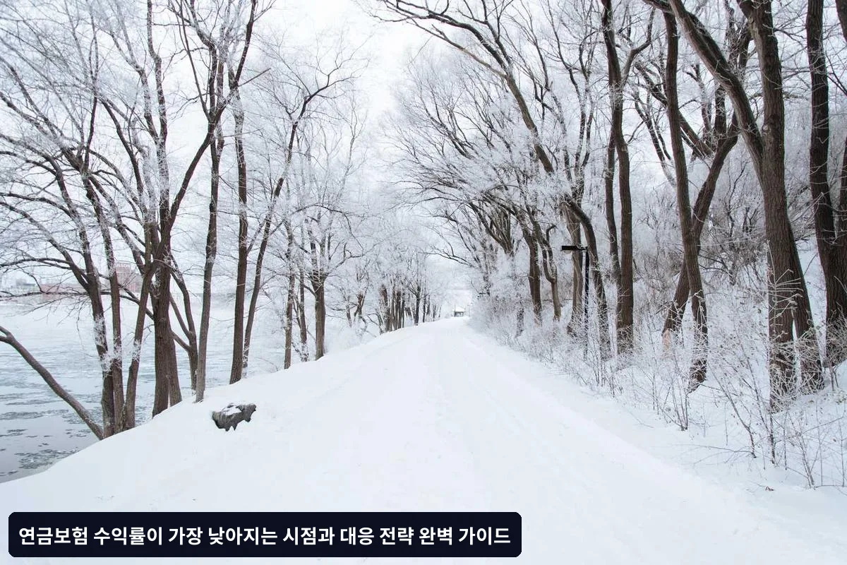 가입 전 점검사항