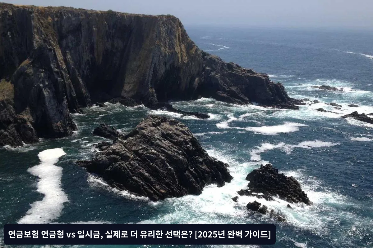 연금형 선택 체크포인트