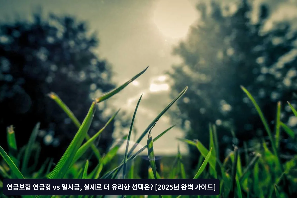 자주 묻는 질문(FAQ)