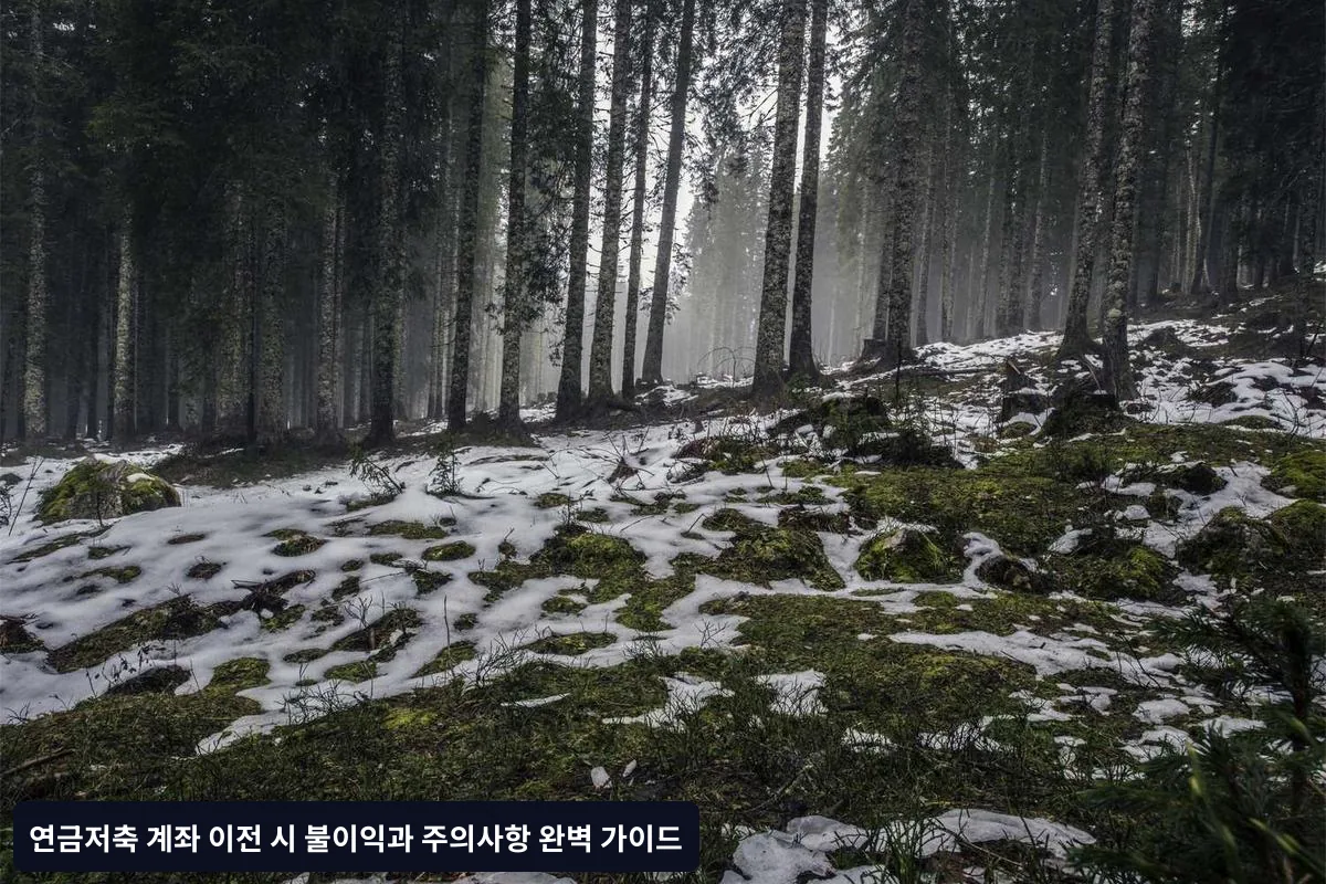 연금저축 유형별 이전 불이익 비교