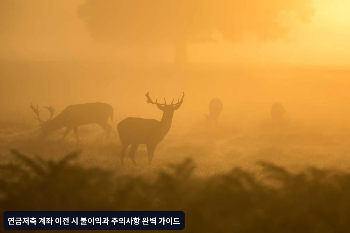 이전 절차와 필요 서류