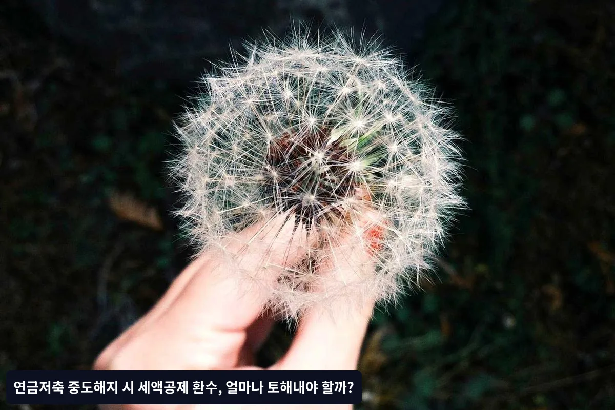 자주 묻는 질문 (FAQ)