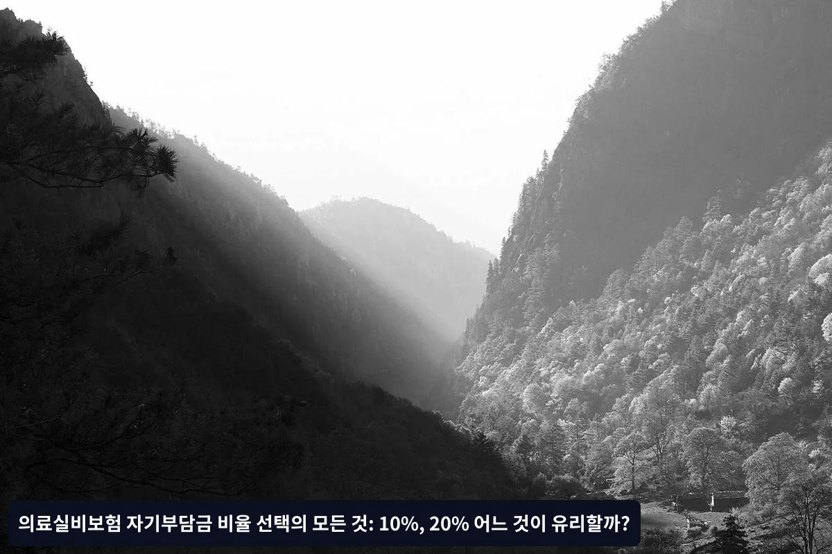 20% 자기부담금 선택 시 장점과 단점