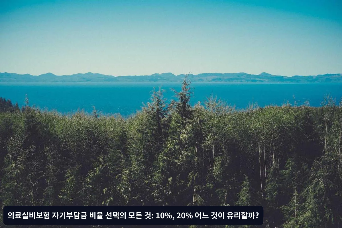 사례 2: 40대 주부 이씨의 경우
